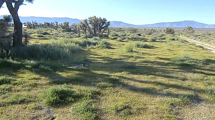 9.1 Acre land, Rosmond, CA, Call 714-818-3667