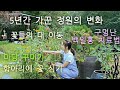 5년간 가꾼 나만의 정원/정원 가꾸기/마당 꾸미기/항아리에 꽃 심기/목수국,작약,독일붓꽃 옮겨심기