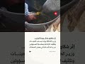 وزير الطاقة يوجّه بتكثيف الرقابة على مواصفات البنزين