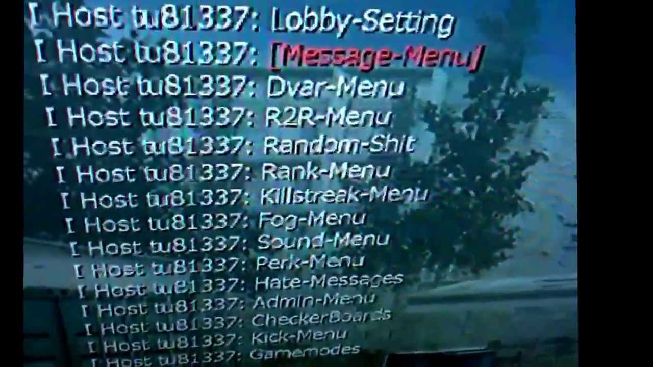 Hosting again cod4 mod menu