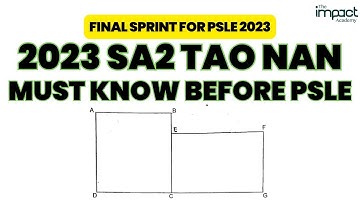 P6 Area and Perimeter - 2023 SA2 TAO NAN Paper 2 (Q17)