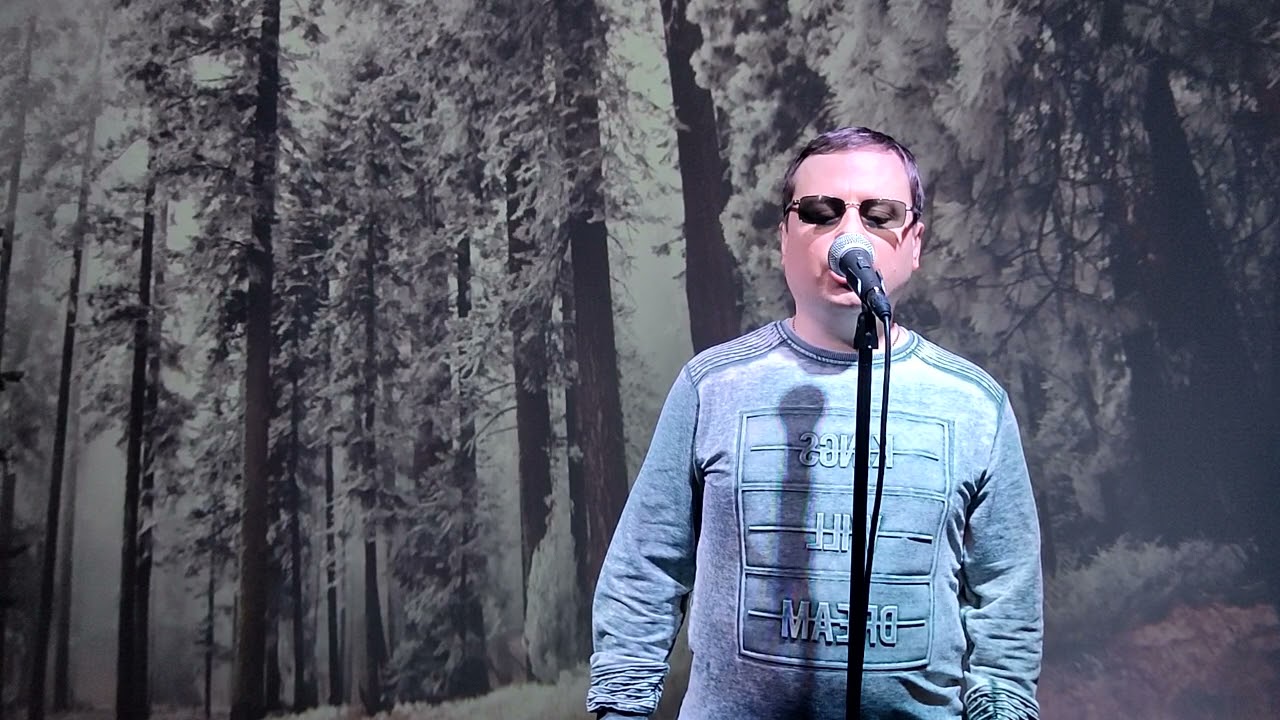 Степан Гончаренко   Как молоды мы были   Памяти Александра Градского