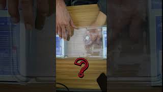FIGURE THIS TRICK OUT? HOW???PASSES RIGHT THRU!