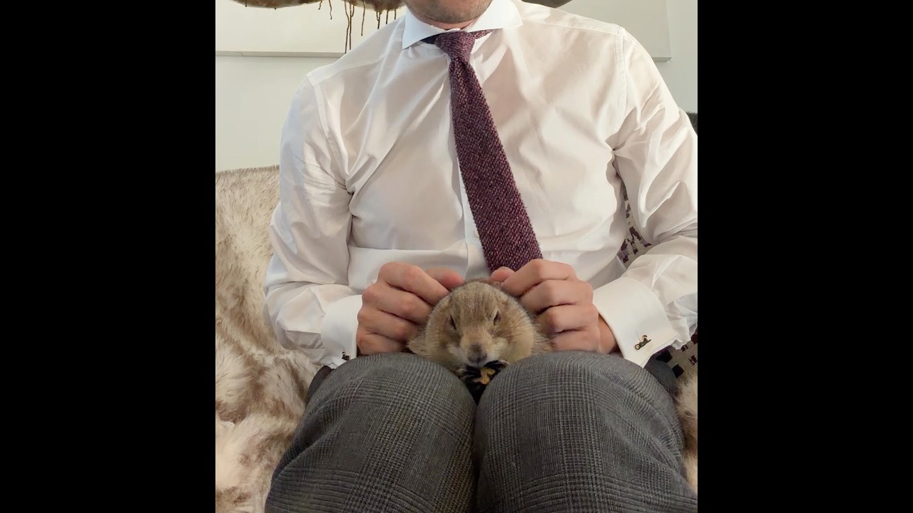 День сурка/суслика… Ещё 6 недель зимы!? 😭