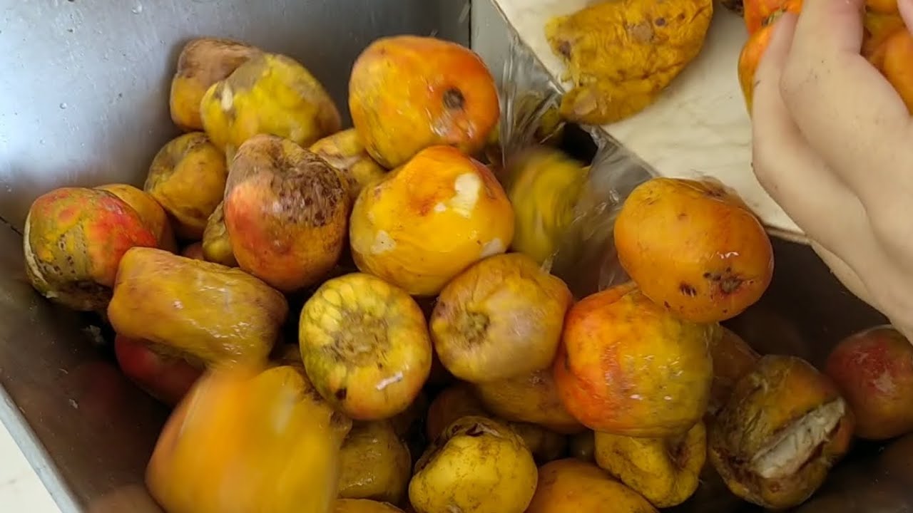 Fábrica de Cajuína no Sitiozinho