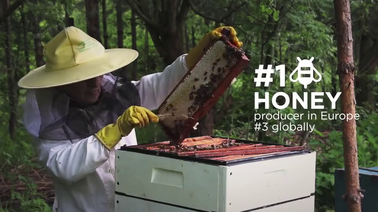 2 Agricultura Ucrania - YouTube