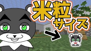 【ミニチュア世界からの脱出】米粒サイズになってしまった状態で戦闘させられるってマジですか！？『謎解き脱出マップ』『マイクラ/マインクラフト/minecraft』