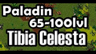 Tibia Celesta - Crystal Spiders