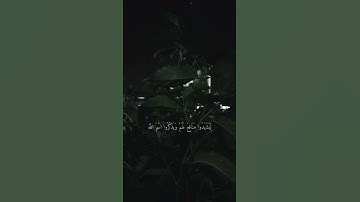#قرآن القارئ عبد الرحمن مسعد سورة الحج اية ٢٦ و٢٧