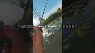 Fishing in a Swamp