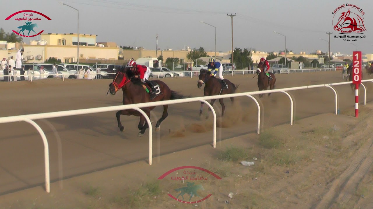 بطل كأس الامير , البطل سرمد لـ أسطبل السيحان
