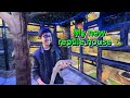 Tegu lizard 🦎 |my new reptile house |what happened to my Iguana 🥲 #reptiles #vlog #reptilekingdom