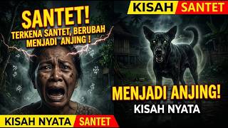 TRUE STORY ‼️ A MOTHER IN A VILLAGE TRANSFORMS INTO A DOG 😱
