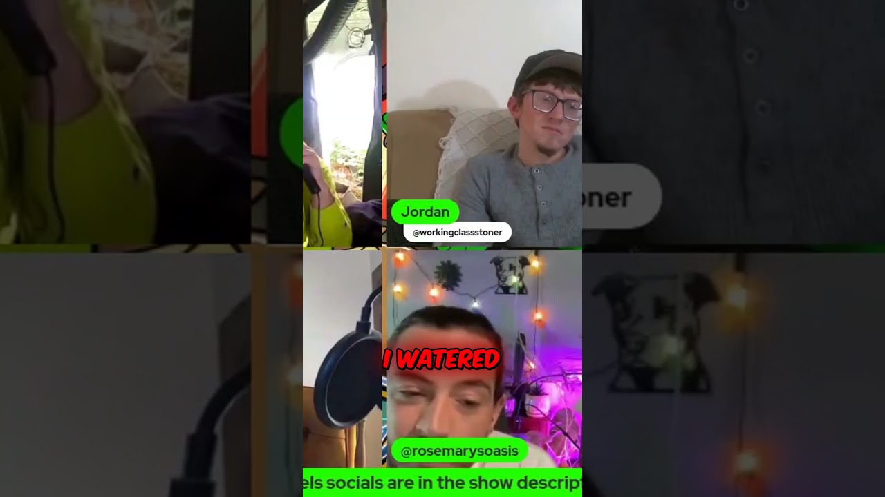 Bottom Watering Plants