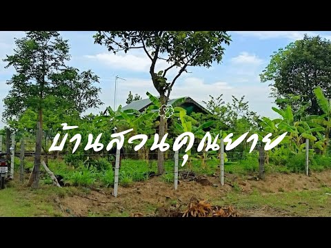 บ้านสวนพอเพียง EP2. เกษตรพอเพียงกับไร่นาสวนผสมบนเนื้อที่ 1 ไร่