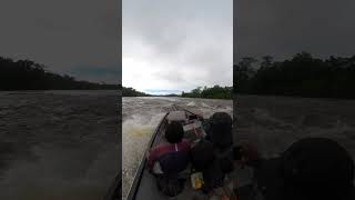 Cruising through the rapids of the Lawa River 🌊 (Suriname / French Guiana)