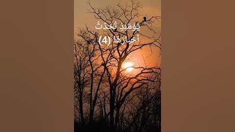 سورة الزلزلة بصوت الشيخ صديق المنشاوي🌼🖤