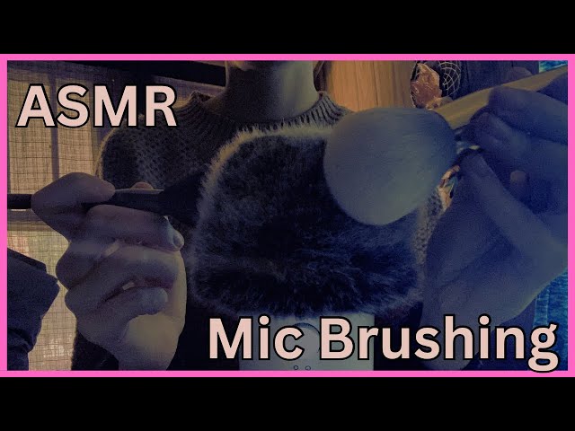 ASMR | 30 Minutes of Pure Relaxing Mic Brushing!💤 🖌️