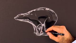 How to Draw a Crystal Bear - Lladro style - Glass