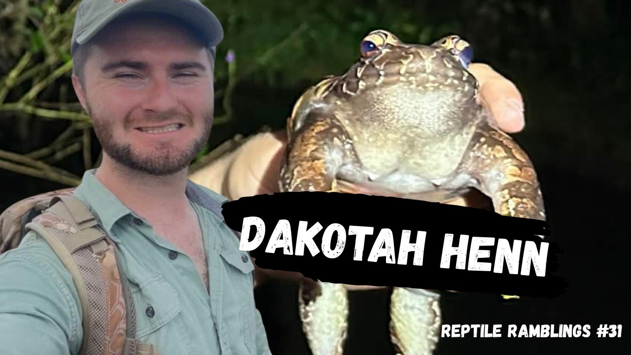 Amphibian Research with Dakotah Henn | Reptile Ramblings #31