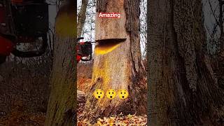 #amzing #beautiful #fall