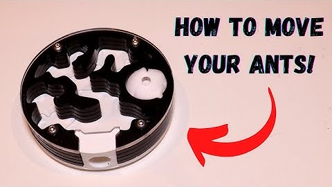 How to move your ant colonies! (The easy way)