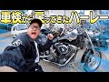【待望】愛車のバイク"Fatboy"が車検から戻ってきたのらぁ!!