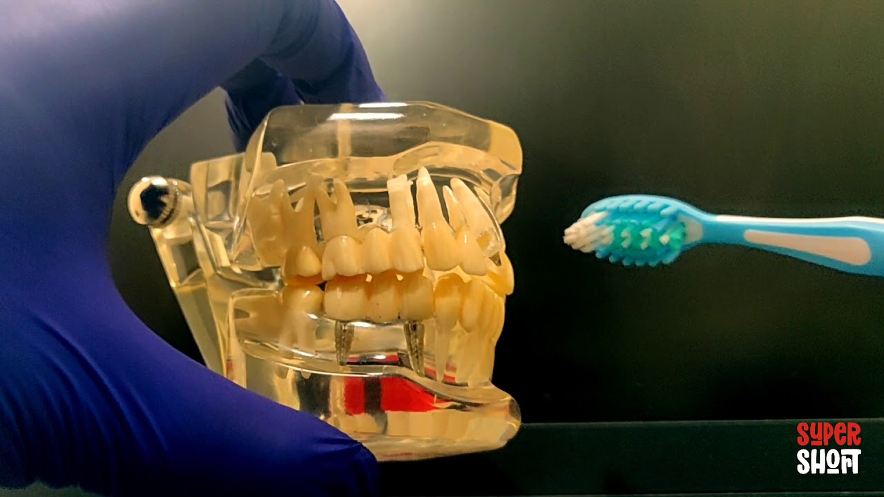 The most effective way to brush you teeth | No Bad Breath ever | Bass Method