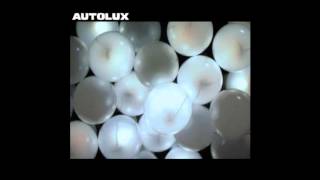 Autolux - Subzero Fun