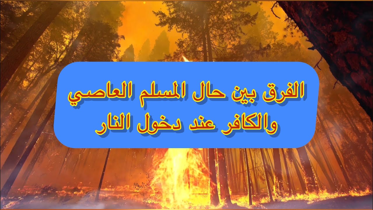 الفرق بين حال المسلم العاصي و حال الكافر في النار