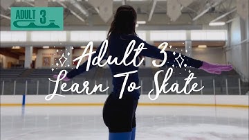 Adult 3 Learn to Skate (journeybacktotheice) #adultsskatetoo