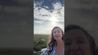 Sea Island Weather Report April 3 2026