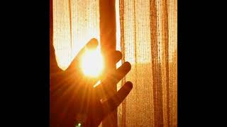 Spiderworld - Up Above The Daily Hum Flaming Lips Cover