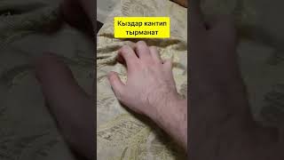 1 Декабря 2022 Г.