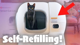 Homerunpet Cs106 Smart Cat Litter Box Review - A Self-cleaning Litter Box That Refills Itself!