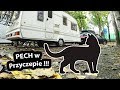 Mamy PECHA !!! - Trudne Dni w Przyczepie Kempingowej  (Vlog #235)