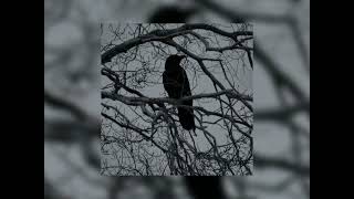 Suicidal Idol-Ecstacyslowed&Reverb