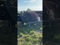 Early morning chores#farmlife#cows