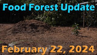 February 22 2024 Food Forest Update by FurFeathersandFlowers 71 views 2 months ago 4 minutes, 28 seconds