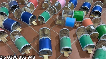 BẮT HẾT SẠCH CHUỘT TRONG BẾP… LỒNG BẪY CHUỘT THÔNG MINH,DÙNG LÂU DÀI AN TOÀN HIỆU QUẢ….giá rẻ.