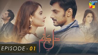 Dil E Jaanam - Episode 01 - Zahid Ahmed l Hina Altaf l Imran Ashraf - HUM TV Drama