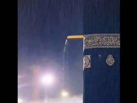 وهو الذي ينزل الغيث من بعد ما قنطوا الشيخ عبدالله الموسى 