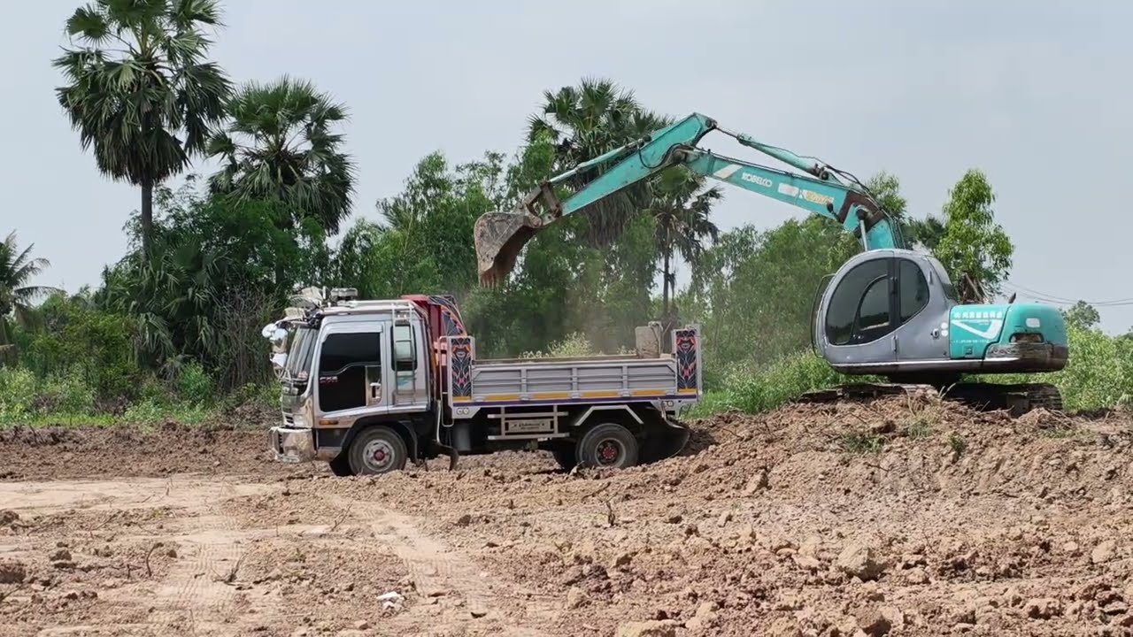 เปลี่ยนผืนป่ายูคาลิปตัสเป็นนา ป๋าเจ๊าะจัดให้