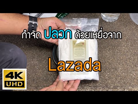 กำจัดปลวกด้วยเหยื่อตัวใหม่ Termatrix คร้งแรกในประเทศไทย ซื้อได้ใน Lazada