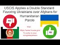 US Immigration Service's Double Standard Favoring Ukrainians over Afghans