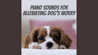 Soothing Canine Chords