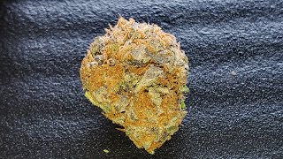 STRAIN REVIEW - CANDY KUSH BY: DNA GARDENS