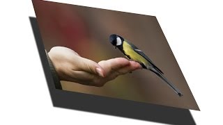 Quick 3D effect using Gimp - wasyleQue