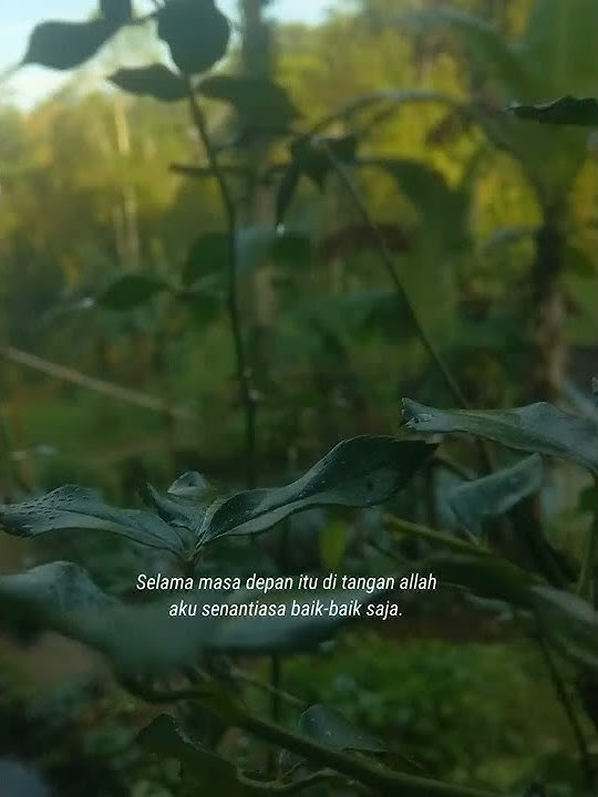 STORY MOTIVASI JANGAN PERNAH PERCAYA DENGAN ORANG TENTANG MASA DEPAN KITA #shorts