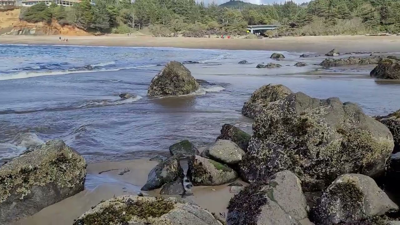 Fogarty Creek 2 Oregon